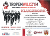 Bieg Tropem Wilczym